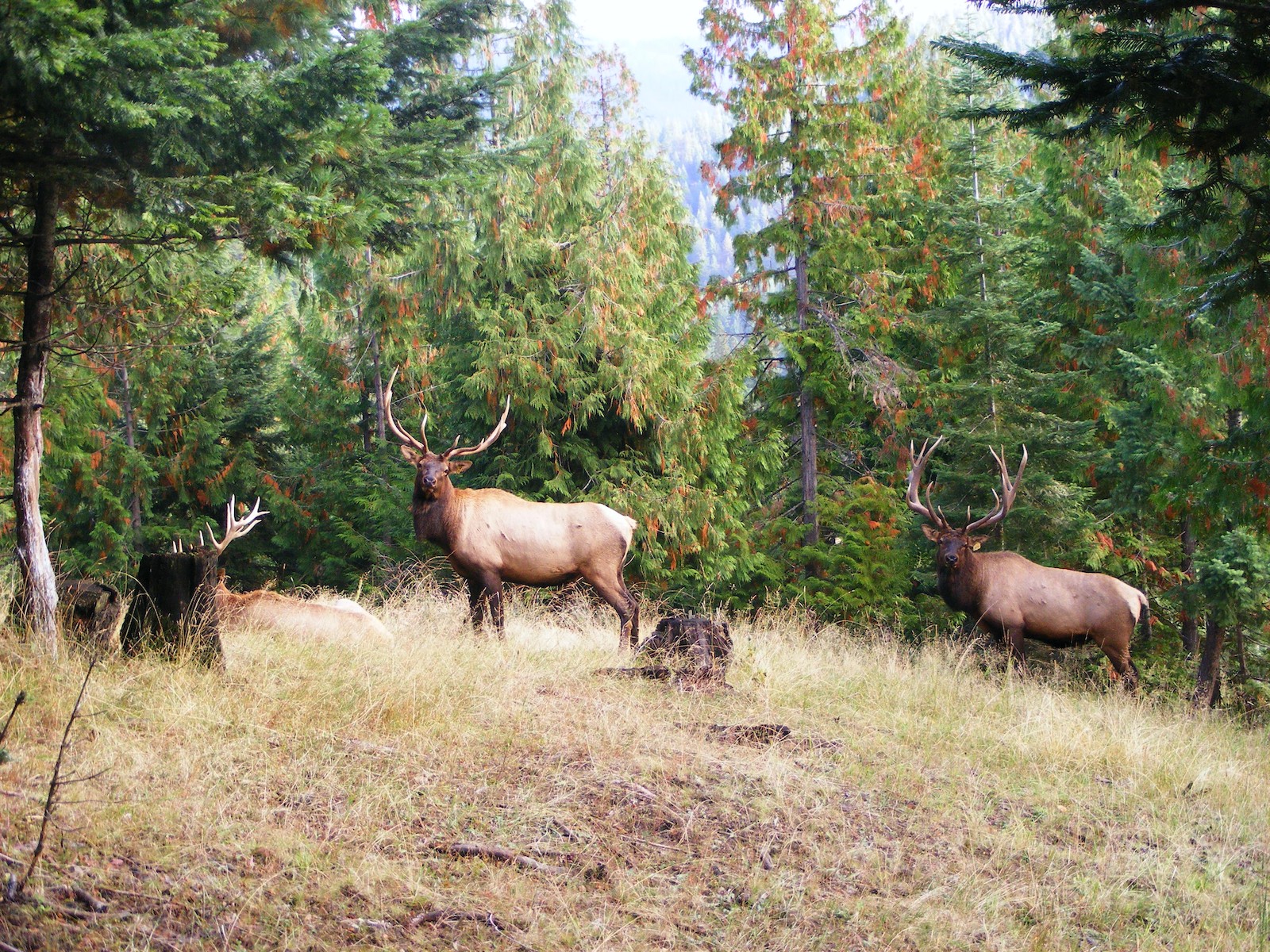 Frak! JavaScript required